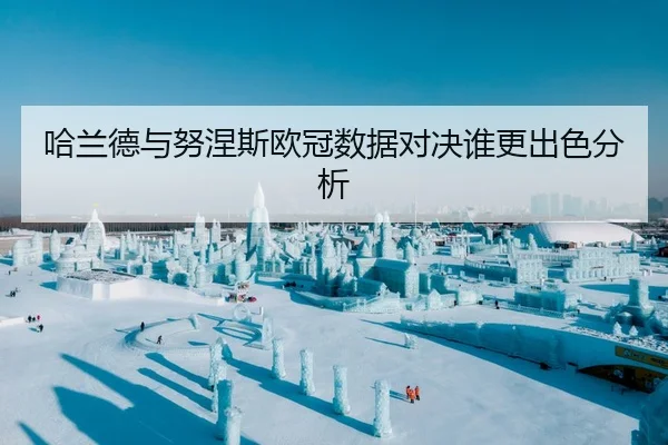 哈兰德与努涅斯欧冠数据对决谁更出色分析